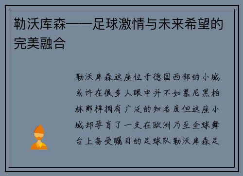 勒沃库森——足球激情与未来希望的完美融合