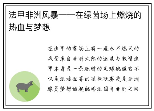 法甲非洲风暴——在绿茵场上燃烧的热血与梦想