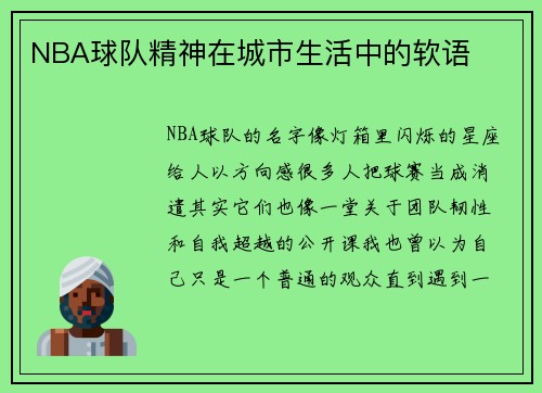 NBA球队精神在城市生活中的软语
