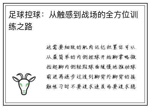 足球控球：从触感到战场的全方位训练之路