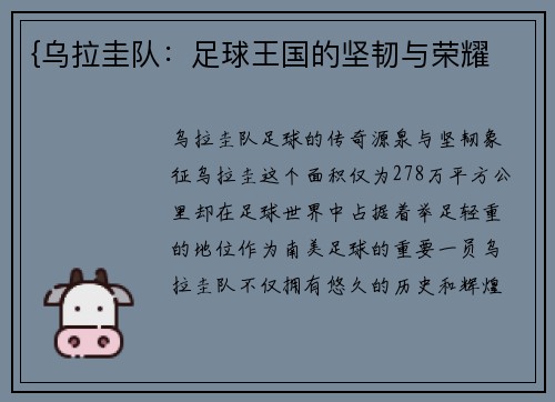 {乌拉圭队：足球王国的坚韧与荣耀